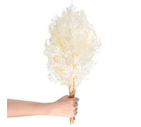 M METERXITY 10-Pack Fern, 15" Natural Dried Greenery with Stems for Wedding Garland Bouquet/Home Party/DIY Crafts Decors, Dried Plants [White]