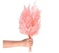 M METERXITY 10-Pack Fern, 15" Natural Dried Greenery with Stems for Wedding Garland Bouquet/Home Party/DIY Crafts Decors, Dried Plants [Pink]