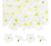 M METERXITY 100-Pack Artificial Orchid Flower Heads 2.2"/ 5.5cm | Fake Silk, Cream White, For DIY Crafts/Dress/Wedding/Party Decoration