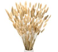 M METERXITY 100-Pack Bunny Tails Grass 17 Inch Fluffy Rabbit Tail Grass Dried Flowers Branches Vase Filler Dried Pampas Grass Decor for Home/Wedding/Vase/Office/Party [Natural]