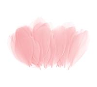 M METERXITY 100-Pack Goose Feathers, 1.6-3 Inch / 4-8cm Bulk Natural Goose Feathers for Crafting/Wedding/Dream Catcher/DIY Crafts Decorations[Champagne]