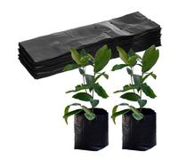 M METERXITY 100-Pack Nursery Growing Bags, 7.9" x 15.7" Thicken Plastic Nursery Bags, Gardening Seed Plant Bags for Potato/Flower/Tomato/Plant Starts/Home Gardening Supplies [Black]