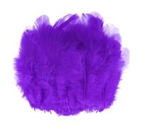 M METERXITY 100-Pack Saddle Hackle Rooster Feather, 1.6-3 Inch / 4-8cm Bulk Natural Fluffy Feathers for Crafting/Wedding/Dream Catcher/DIY Crafts Decorations [Dark Purple]
