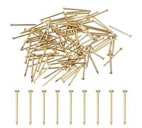 M METERXITY 100-Pack Small Tiny Nails, 1.5mm x 25mm Brass Precision MIni Nails Hardware Round Head for Wooden/DIY Crafts Decorative/Household Accessories/Picture Hanging