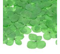 M METERXITY 12-Pack Natural Dried Pressed Flowers for Resin, Green