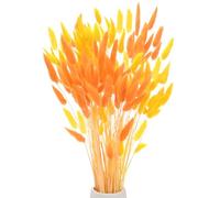 M METERXITY 120-Pack Bunny Tails Grass 17 Inch Fluffy Rabbit Tail Grass Dried Flowers Branches Vase Filler Dried Pampas Grass Decor for Home/Wedding/Vase/Office/Party [Orange, Golden Yellow]