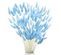 M METERXITY 120-Pack Bunny Tails Grass 17 Inch Fluffy Rabbit Tail Grass Dried Flowers Branches Vase Filler Dried Pampas Grass Decor for Home/Wedding/Vase/Office/Party [Light Blue]
