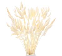 M METERXITY 120-Pack Bunny Tails Grass 17 Inch Fluffy Rabbit Tail Grass Dried Flowers Branches Vase Filler Dried Pampas Grass Decor for Home/Wedding/Vase/Office/Party [White]