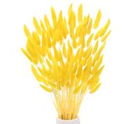 M METERXITY 120-Pack Bunny Tails Grass 17 Inch Fluffy Rabbit Tail Grass Dried Flowers Branches Vase Filler Dried Pampas Grass Decor for Home/Wedding/Vase/Office/Party [Golden Yellow]