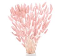 M METERXITY 120-Pack Bunny Tails Grass 17 Inch Fluffy Rabbit Tail Grass Dried Flowers Branches Vase Filler Dried Pampas Grass Decor for Home/Wedding/Vase/Office/Party [Pink]