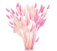 M METERXITY 120-Pack Bunny Tails Grass 17 Inch Fluffy Rabbit Tail Grass Dried Flowers Branches Vase Filler Dried Pampas Grass Decor for Home/Wedding/Vase/Office/Party [White, Pink]