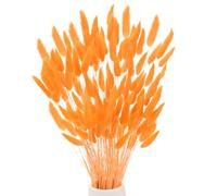 M METERXITY 120-Pack Bunny Tails Grass 17 Inch Fluffy Rabbit Tail Grass Dried Flowers Branches Vase Filler Dried Pampas Grass Decor for Home/Wedding/Vase/Office/Party [Orange]