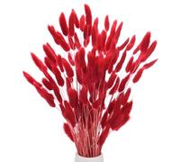 M METERXITY 120-Pack Bunny Tails Grass 17 Inch Fluffy Rabbit Tail Grass Dried Flowers Branches Vase Filler Dried Pampas Grass Decor for Home/Wedding/Vase/Office/Party [Bright Red]