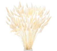 M METERXITY 180-Pack Bunny Tails Grass 17 Inch Fluffy Rabbit Tail Grass Dried Flowers Branches Vase Filler Dried Grass Decor for Home/Wedding/Vase/Office/Party [White]