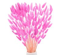 M METERXITY 180-Pack Bunny Tails Grass 17 Inch Fluffy Rabbit Tail Grass Dried Flowers Branches Vase Filler Dried Grass Decor for Home/Wedding/Vase/Office/Party [Rose Red]