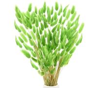 M METERXITY 180-Pack Bunny Tails Grass 17 Inch Fluffy Rabbit Tail Grass Dried Flowers Branches Vase Filler Dried Grass Decor for Home/Wedding/Vase/Office/Party [Green]