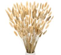 M METERXITY 180-Pack Bunny Tails Grass 17 Inch Fluffy Rabbit Tail Grass Dried Flowers Branches Vase Filler Dried Grass Decor for Home/Wedding/Vase/Office/Party [Natural]