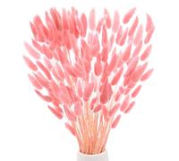 M METERXITY 180-Pack Bunny Tails Grass 17 Inch Fluffy Rabbit Tail Grass Dried Flowers Branches Vase Filler Dried Grass Decor for Home/Wedding/Vase/Office/Party [Pink]