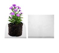 M METERXITY 2-Pack 10 Gallon Plant Root Protector 20x18 Inch, Stainless Stainless Root Guard Baskets Wire Mesh Garden Protection Netting for Tree/Tubers/Crops/Flower/Vegetables/Fruit