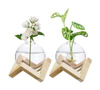 M METERXITY 2 Pack Glass Planter Terrarium with Wooden Stand, Desktop Plant Propagation Station Bulb Vase for Hydroponic Plants Propagation/Home Garden Decor/Plant Lover [Transparent]