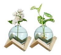 M METERXITY 2 Pack Glass Planter Terrarium with Wooden Stand, Desktop Plant Propagation Station Bulb Vase for Hydroponic Plants Propagation/Home Garden Decor/Plant Lover [Green]