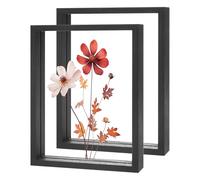 M METERXITY 2-Pack Pressed Flower Frame 6 x 8 Inch Wooden Acrylic, Black