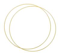 M METERXITY 2 Pack Round Metal Floral Hoops - Golden Wreath Macrame Frames Apply to Wed/Geometric Decor/Party/Wall Hang (16" Gold Tone)