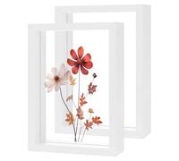 M METERXITY 2-Pack Wooden Pressed Flower Frame, 4 x 6 Inch Double Acrylic Floating Picture Frame for Dried Flowers/Tabletop/DIY/Handicrafts [White]