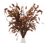 M METERXITY 20-Pack Dried Grass Bundle 17" Chasmanthium Dry Flower Bouquet Dried Oat Grass for Vase Filler/Home Decor Dried Flowers Arrangement Real Plant with Greenery Stems [Rose red]