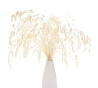 M METERXITY 20-Pack Dried Grass Bundle 17" Chasmanthium Dry Flower Bouquet Dried Oat Grass for Vase Filler/Home Decor Dried Flowers Arrangement Real Plant with Greenery Stems [Cream white]