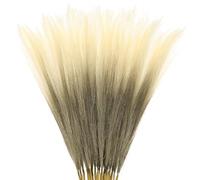 M METERXITY 20-Pack Faux Pampas Grass 21.7 Inch/55cm Small Fake Fluffy Pampas Grass Decor Pampas Grass Branches Vase Filler for Home/Wedding/Vase/Office/Party [Brown Gradient]