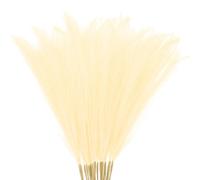 M METERXITY 20-Pack Faux Pampas Grass 21.7 Inch/55cm Small Fake Fluffy Pampas Grass Decor Pampas Grass Branches Vase Filler for Home/Wedding/Vase/Office/Party [Beige]