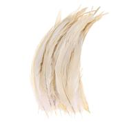 M METERXITY 20-Pack Natural Rooster Tail Feathers, 10-12 Inch / 25-30cm Long Rooster Tail Feathers for Crafting/Wedding/Dream Catcher/DIY Crafts Decorations [White]