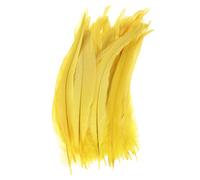 M METERXITY 20-Pack Natural Rooster Tail Feathers, 10-12 Inch / 25-30cm Long Rooster Tail Feathers for Crafting/Wedding/Dream Catcher/DIY Crafts Decorations [Yellow]