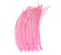 M METERXITY 20-Pack Natural Rooster Tail Feathers, 10-12 Inch / 25-30cm Long Rooster Tail Feathers for Crafting/Wedding/Dream Catcher/DIY Crafts Decorations [Pink]