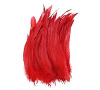 M METERXITY 20-Pack Natural Rooster Tail Feathers, 10-12 Inch / 25-30cm Long Rooster Tail Feathers for Crafting/Wedding/Dream Catcher/DIY Crafts Decorations [Red]