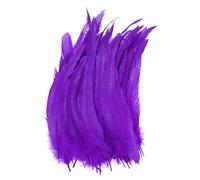 M METERXITY 20-Pack Natural Rooster Tail Feathers, 10-12 Inch / 25-30cm Long Rooster Tail Feathers for Crafting/Wedding/Dream Catcher/DIY Crafts Decorations [Dark Purple]