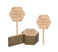 M METERXITY 20-Pack Thank You for Helping Me Grow Plant Labels, 4"x2"x0.08"(LxWxT) Hexagon Wooden Plant Stakes Labels, Nursery Garden Labels for Succulent Tags/Thanksgiving Supplies