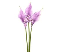 M METERXITY 3-Pack Purple Pink Two-petaled Artificial Calla Lily Flowers,23 Inch Faux Two-petaled Artificial Calla Lily Silk Bouquets Real Touch Faux Flowers for Home/Wedding/Christmas/Party