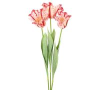 M METERXITY 3-Pack Red Artificial Parrot Tulip Flowers,27 Inch Faux Parrot Tulip Silk Bouquets Real Touch Faux Flowers for Home/Wedding/Christmas/Party