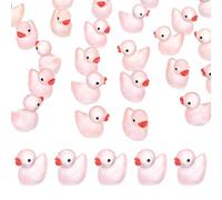 M METERXITY 30-Pack Luminous Mini Resin Ducks, Glow in the Dark Tiny Duck for Fairy Garden/Micro Landscaping/Dollhouse, Cute Miniature Animal Figurine to Hide [Pink]