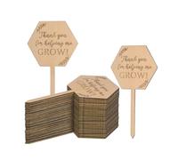 M METERXITY 30-Pack Thank You for Helping Me Grow Plant Labels, 4"x2"x0.08"(LxWxT) Hexagon Wooden Plant Stakes Labels, Nursery Garden Labels for Succulent Tags/Seed/Flowers