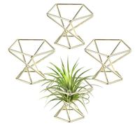 M METERXITY 4-Pack Geometric Air Plant Holders, Hexagonal Metal Airplants Stand Rack Holder Shelves for Home Decor/Indoor Outdoor Plants, Tillandsia Pot Containers [Gold Tone, 1.65" H]