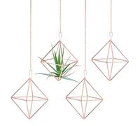 M METERXITY 4-Pack Hanging Air Plant Holders, Cube Metal Geometric Hanging Tillandsia Holder with Metal Chain for Home Decor/Small Indoor Outdoor Plants [Rose Gold, 3.3" H]