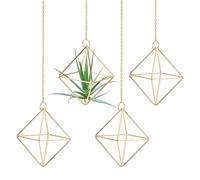 M METERXITY 4-Pack Hanging Air Plant Holders, Cube Metal Geometric Hanging Tillandsia Holder with Metal Chain for Home Decor/Small Indoor Outdoor Plants [Gold Tone, 3.3" H]