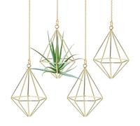 M METERXITY 4-Pack Hanging Air Plant Holders, Pentagonal Metal Geometric Hanging Tillandsia Holder with Metal Chain for Home Decor/Small Indoor Outdoor Plants [Gold Tone, 4.8" H]