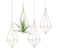 M METERXITY 4-Pack Hanging Air Plant Holders, Square Metal Geometric Hanging Tillandsia Holder with Metal Chain for Home Decor/Small Indoor Outdoor Plants [Gold Tone, Rose Gold, 7.5" H]