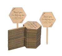 M METERXITY 40-Pack Thank You for Helping Me Grow Plant Labels, 4"x2"x0.08"(LxWxT) Hexagon Wooden Plant Stakes Labels, Nursery Garden Labels for Succulent Tags/Thanksgiving Supplies