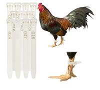 M METERXITY 50-Pack Chicken Leg Bands 10-28mm Plastic, White