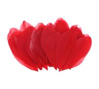 M METERXITY 50-Pack Goose Feathers, 1.6-3 Inch / 4-8cm Bulk Natural Goose Feathers for Crafting/Wedding/Dream Catcher/DIY Crafts Decorations[Red]